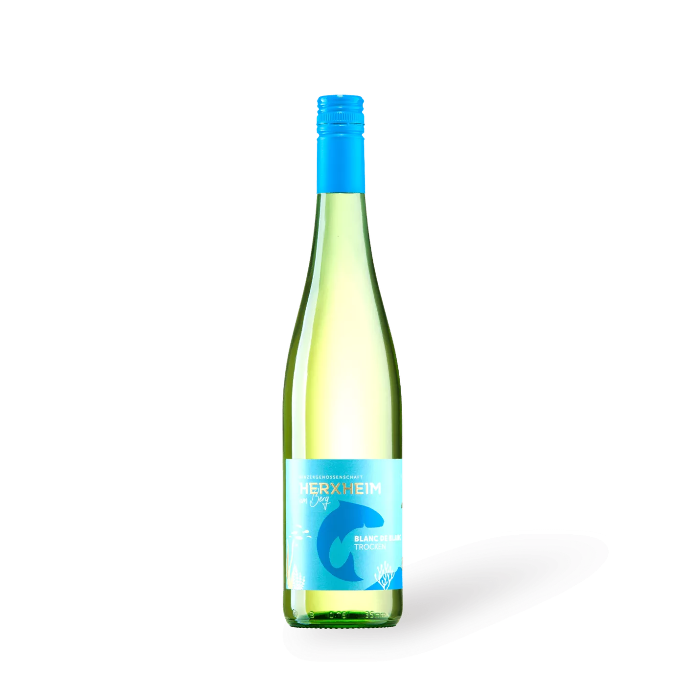 Abbildung des Produktes: Blanc de Blanc  Weißweincuvée trocken, HANG - 737